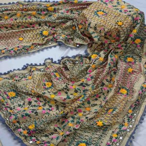 Lush Embroidered Organza Dupatta