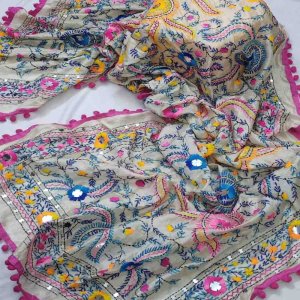 Hand Embroidered Dupatta Design Organza